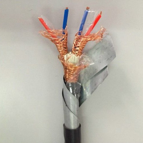 ZC-DJYPVP22-3x2x1.0鎧裝計算機電纜